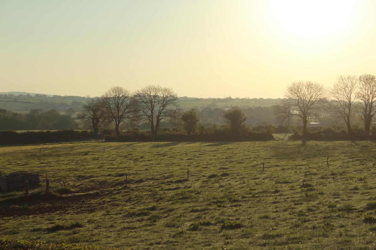 Grey Gables Farmhouse B&B Innishannon Exteriör bild